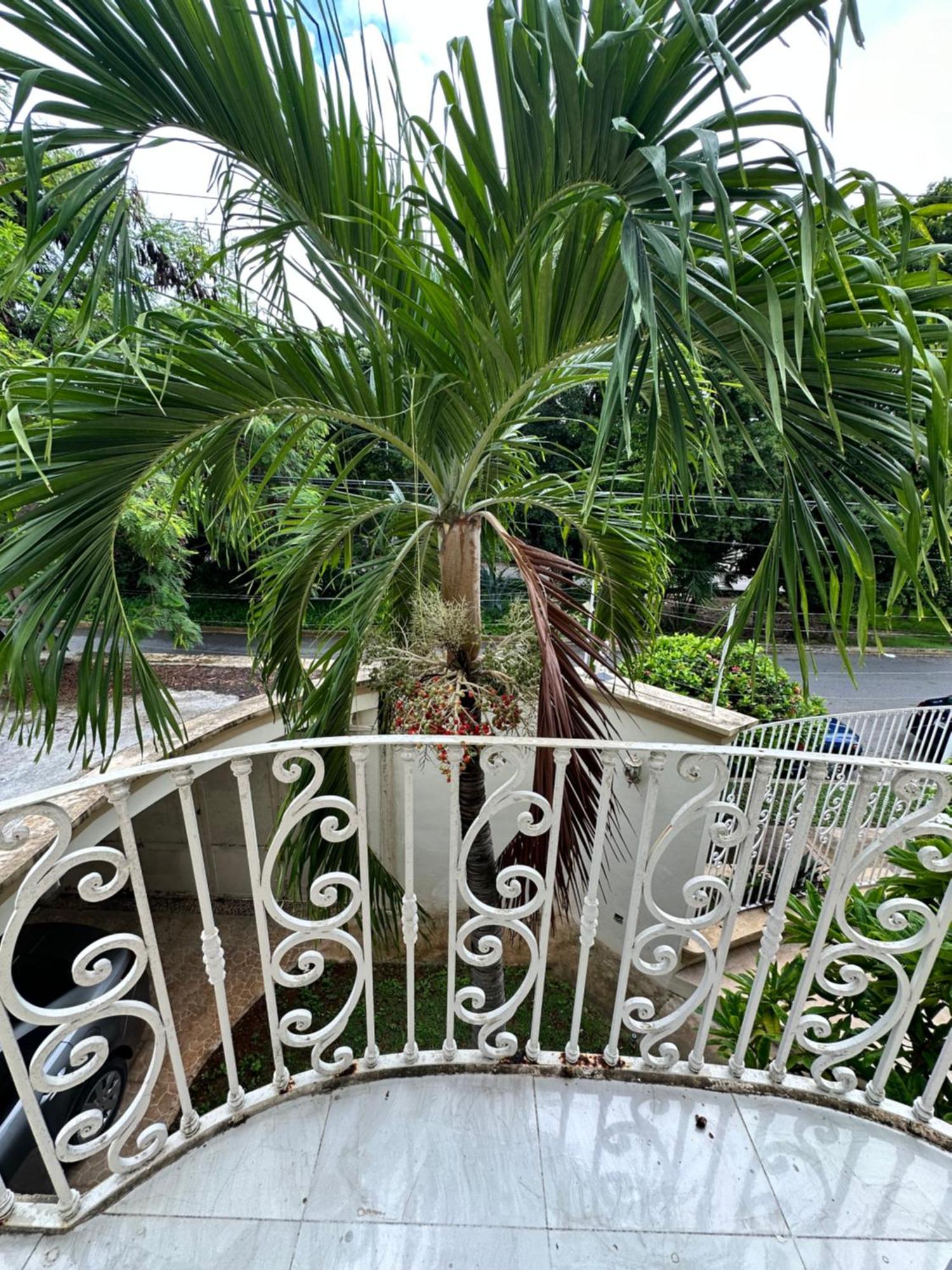 Casa Sasha'S Mini Palace Cancún Eksteriør bilde